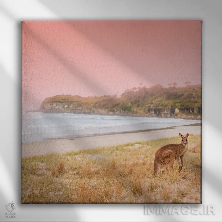 تابلو رو (احتمالاً نام حیوان یا مخفف روئو) اثر شارلوت کرد - نمای روبهرو روی دیوار