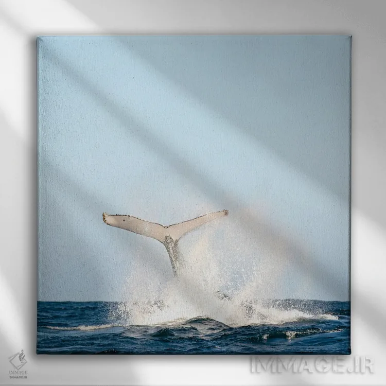 تابلو دمها رو به بالا اثر شارلوت کرد - نمای روبهرو روی دیوار