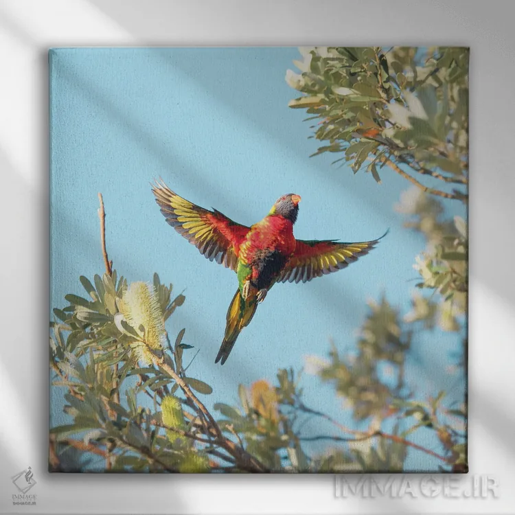 تابلو کامیون (یا "لورری" بستگی به اثر) اثر شارلوت کرد - نمای روبهرو روی دیوار