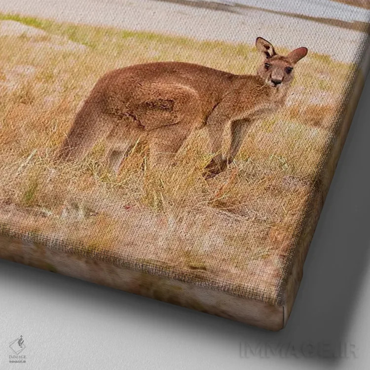 تابلو رو (احتمالاً نام حیوان یا مخفف روئو) اثر شارلوت کرد - نمای نزدیک بافت بوم