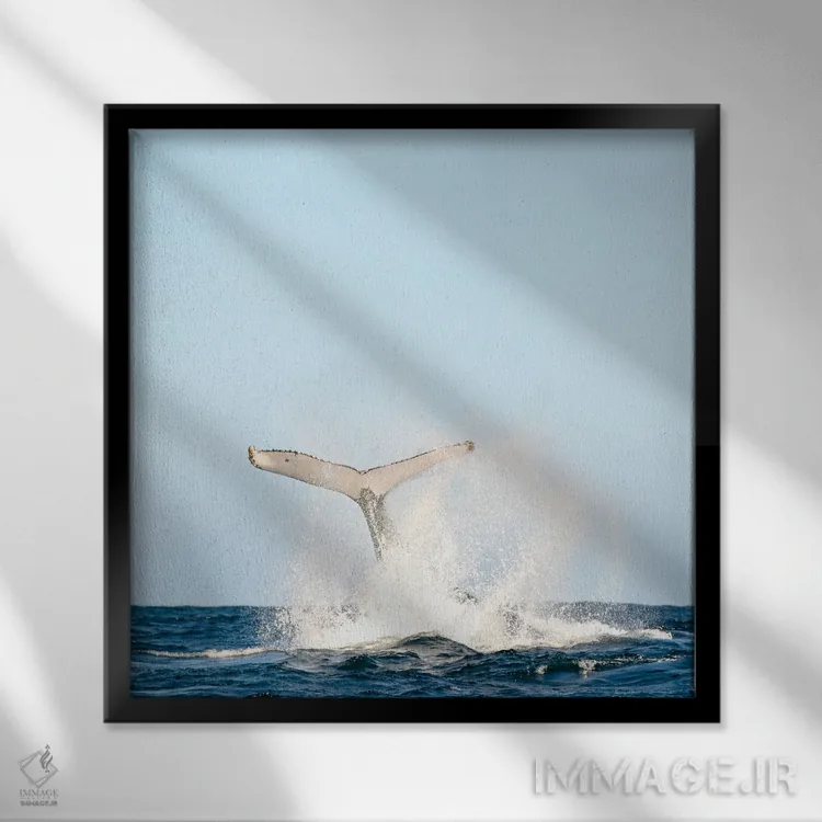 تابلو دمها رو به بالا اثر شارلوت کرد - نمای قابدار مشکی