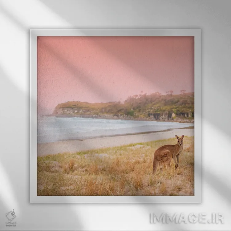 تابلو رو (احتمالاً نام حیوان یا مخفف روئو) اثر شارلوت کرد - نمای قابدار سفید