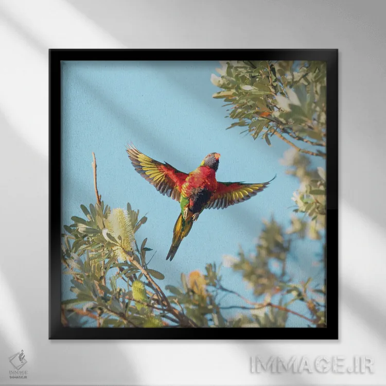 تابلو کامیون (یا "لورری" بستگی به اثر) اثر شارلوت کرد - نمای قابدار مشکی