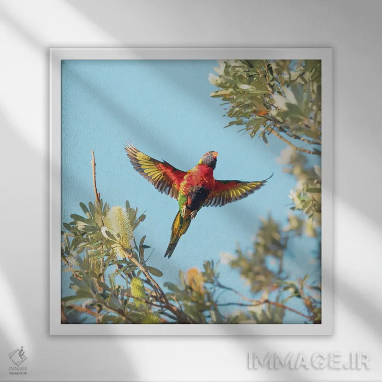 تابلو کامیون (یا "لورری" بستگی به اثر) اثر شارلوت کرد - نمای قابدار سفید