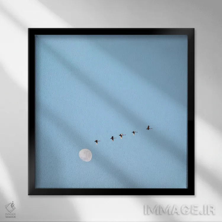 تابلو پرواز به سوی ماه اثر شارلوت کرد - نمای قابدار مشکی