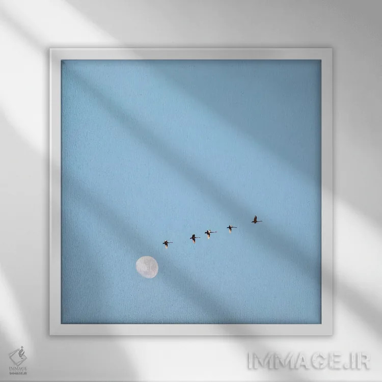 تابلو پرواز به سوی ماه اثر شارلوت کرد - نمای قابدار سفید