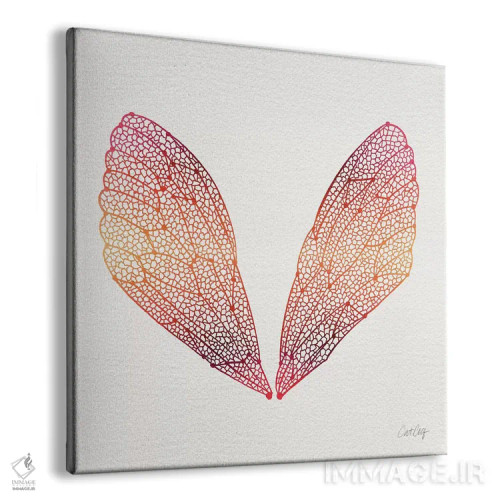 تابلو بالهای سیکادا صورتی نارنجی اثر کت کوکیلت - نمای پرسپکتیو محصول