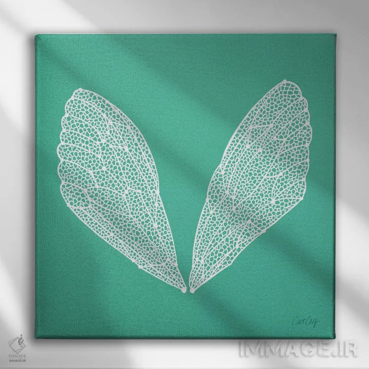 تابلو بالهای سیکادا فیروزهای سفید اثر کت کوکیلت - نمای روبهرو روی دیوار