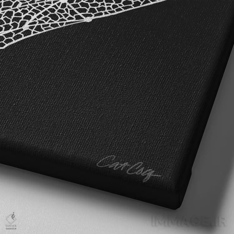 تابلو بالهای سیکادا سفید اثر کت کوکیلت - نمای نزدیک بافت بوم