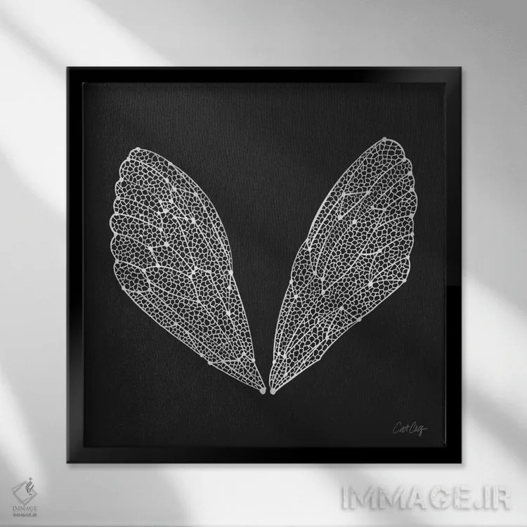تابلو بالهای سیکادا سفید اثر کت کوکیلت - نمای قابدار مشکی