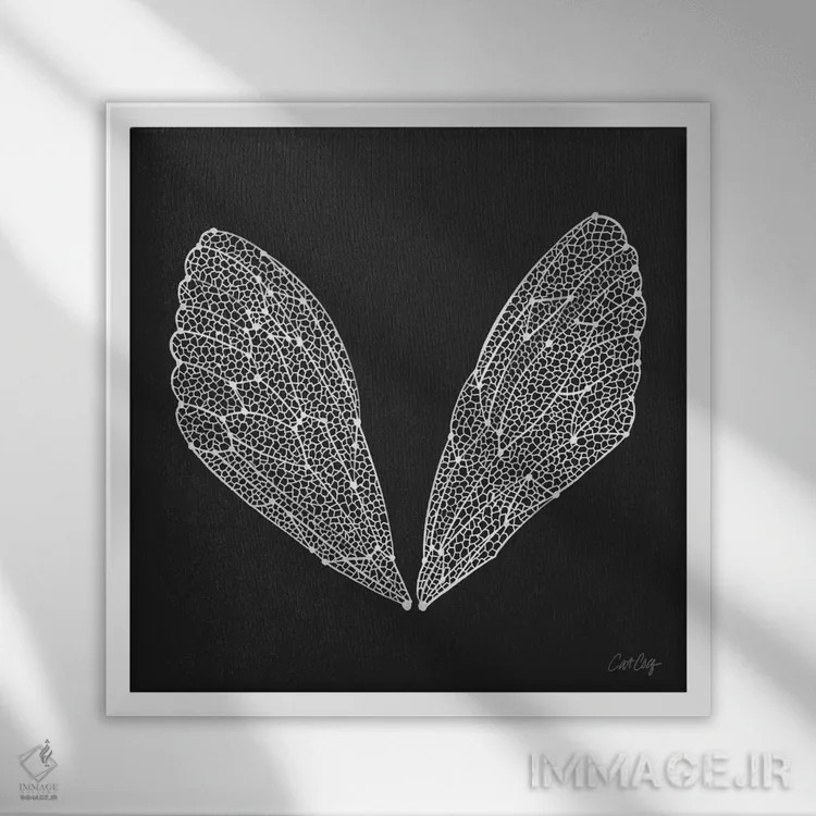 تابلو بالهای سیکادا سفید اثر کت کوکیلت - نمای قابدار سفید