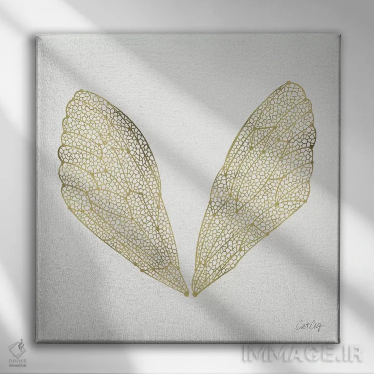 تابلو بال سنجاقک طلایی اثر کت کوکیلت - نمای روبهرو روی دیوار