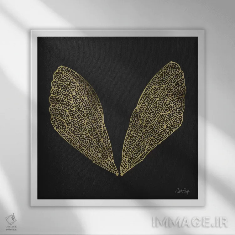 تابلو بال سنجاقک مشکی طلایی اثر کت کوکیلت - نمای قابدار سفید