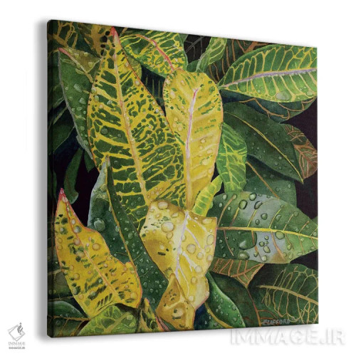 تابلو پس از باران اثر کوری کلیفورد - نمای پرسپکتیو محصول