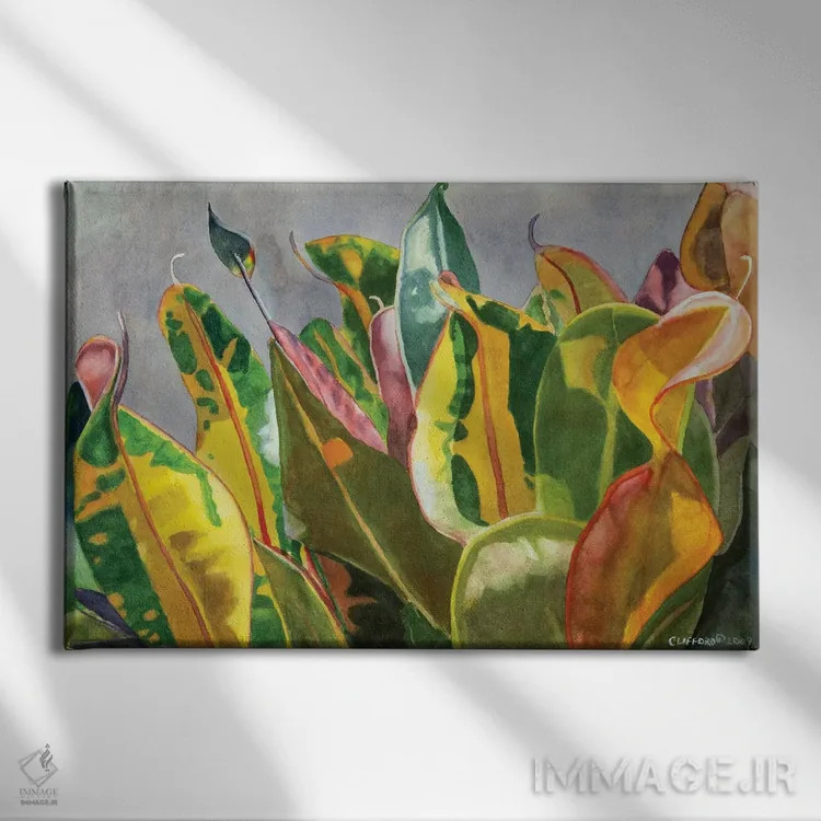 تابلو رقصیدن در نور خورشید اثر کوری کلیفورد - نمای روبهرو روی دیوار