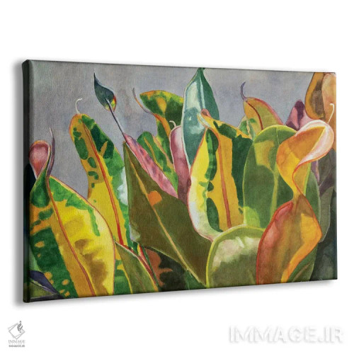 تابلو رقصیدن در نور خورشید اثر کوری کلیفورد - نمای پرسپکتیو محصول