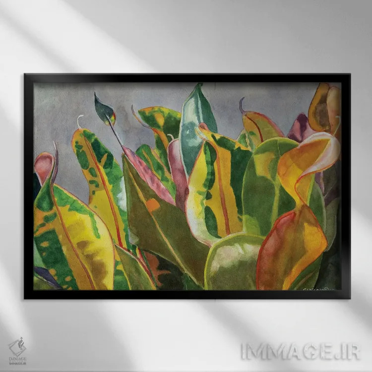 تابلو رقصیدن در نور خورشید اثر کوری کلیفورد - نمای قابدار مشکی