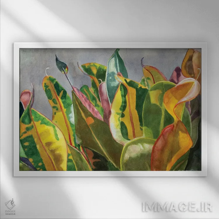 تابلو رقصیدن در نور خورشید اثر کوری کلیفورد - نمای قابدار سفید