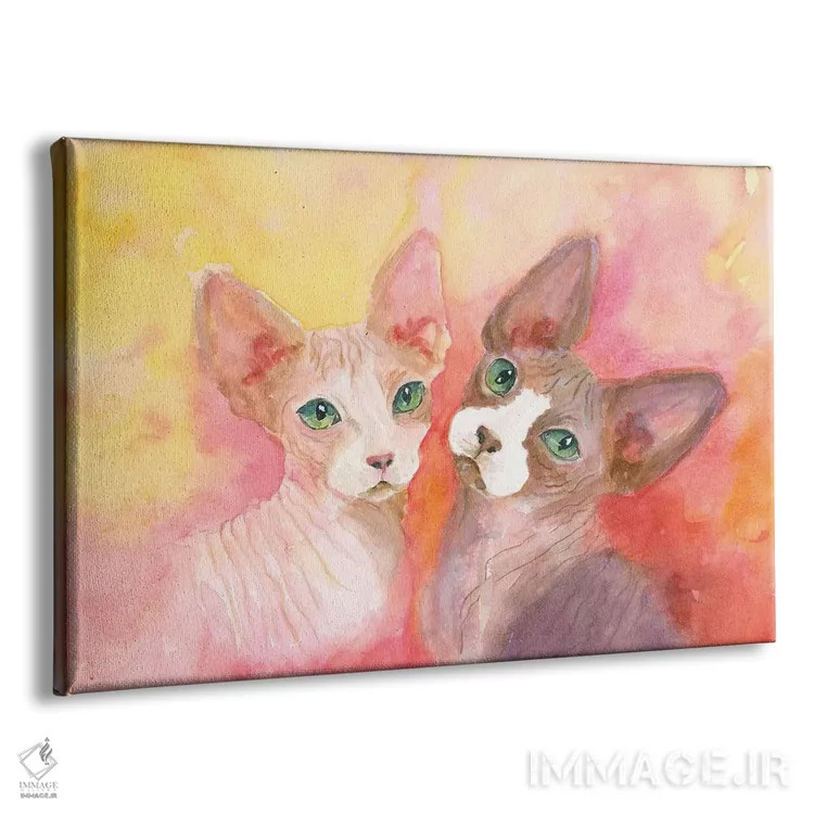 تابلو دوست داشتن یک اسفینکس (نوع گربه) اثر کانی کالم - نمای پرسپکتیو محصول