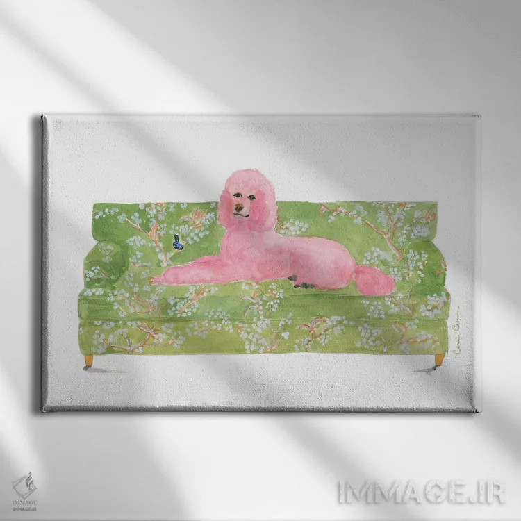 تابلو پرایم رز (گل پامچال) اثر کانی کالم - نمای روبهرو روی دیوار