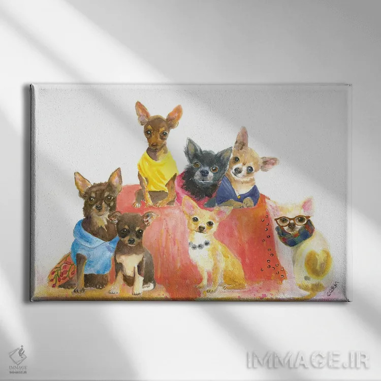 تابلو چیهواهواها دل مرا بردهاند (نوع سگ) اثر کانی کالم - نمای روبهرو روی دیوار