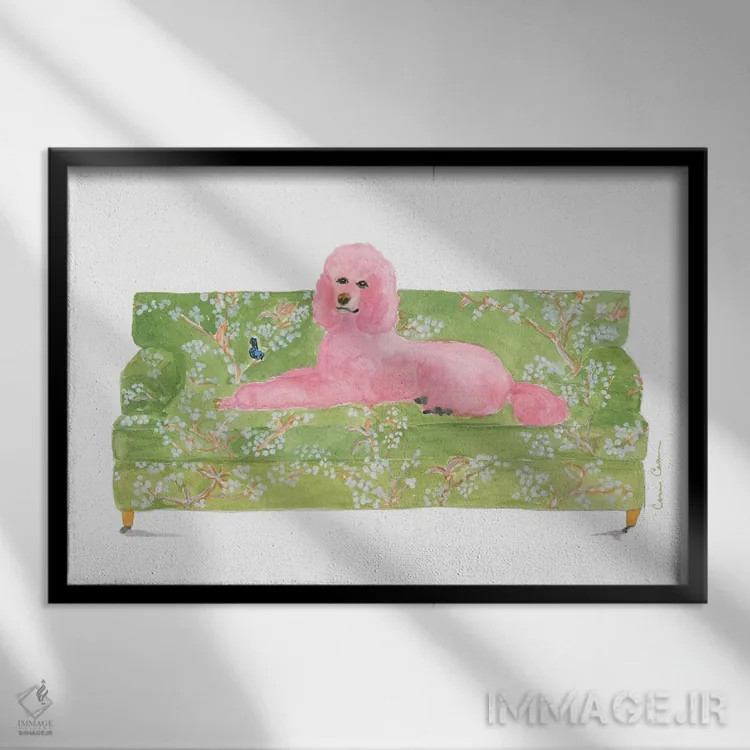 تابلو پرایم رز (گل پامچال) اثر کانی کالم - نمای قابدار مشکی