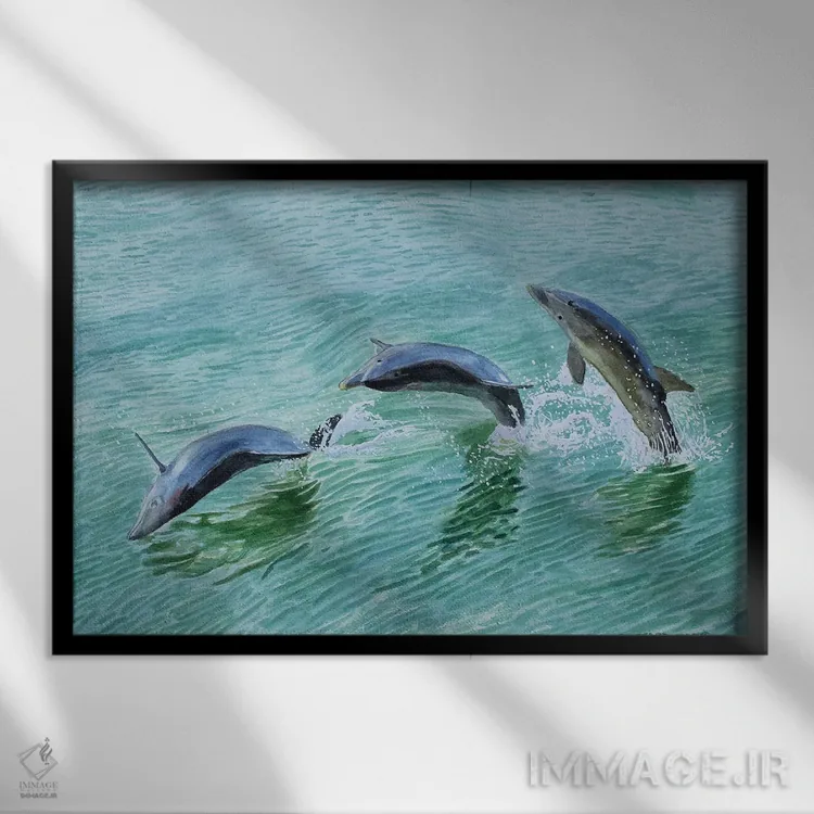 تابلو آببازی دلفین اثر کوری کلیفورد - نمای قابدار مشکی