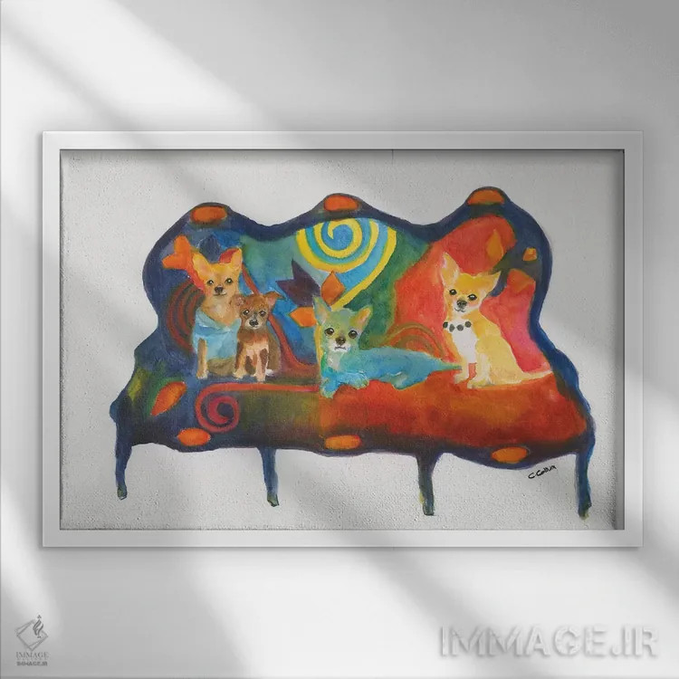 تابلو سهگانهٔ چیهواهوا (نوع سگ) اثر کانی کالم - نمای قابدار سفید