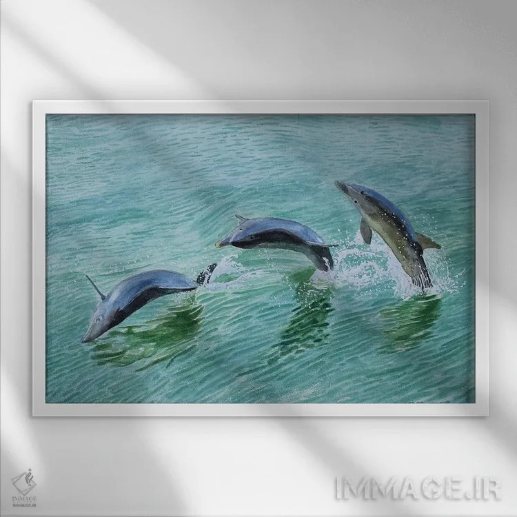 تابلو آببازی دلفین اثر کوری کلیفورد - نمای قابدار سفید