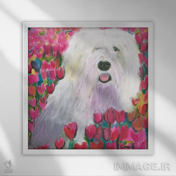 تابلو سگ گله در مزرعهٔ لالهها اثر کانی کالم - نمای قابدار سفید
