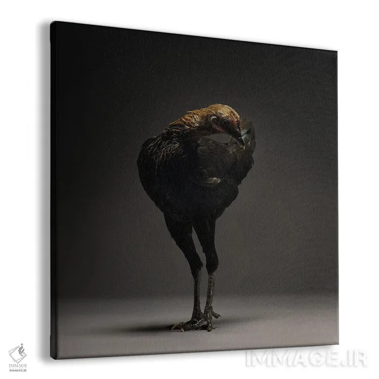 تابلو مرغ جنگجوی مدرن انگلیسی اثر چیکن (اثر هنری با لحن شوخ) - نمای پرسپکتیو محصول