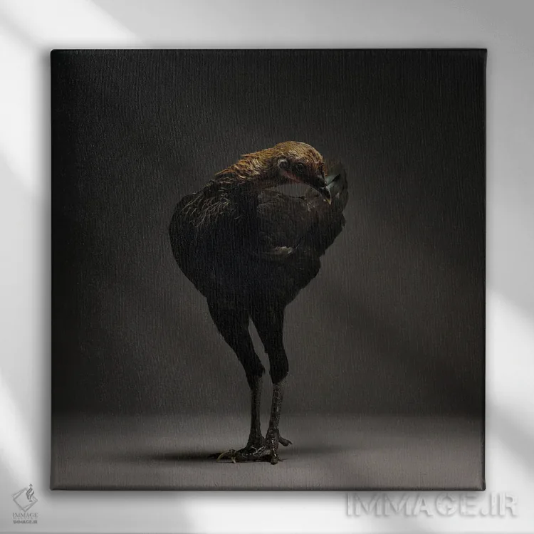 تابلو مرغ جنگجوی مدرن انگلیسی اثر چیکن (اثر هنری با لحن شوخ) - نمای روبهرو روی دیوار