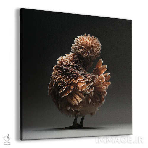 تابلو پادووانا (نژاد مرغ) اثر چیکن (اثر هنری با لحن شوخ) - نمای پرسپکتیو محصول