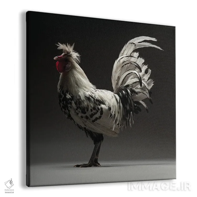 تابلو آپنزلر توفته (نژاد مرغ) اثر چیکن (اثر هنری با لحن شوخ) - نمای پرسپکتیو محصول