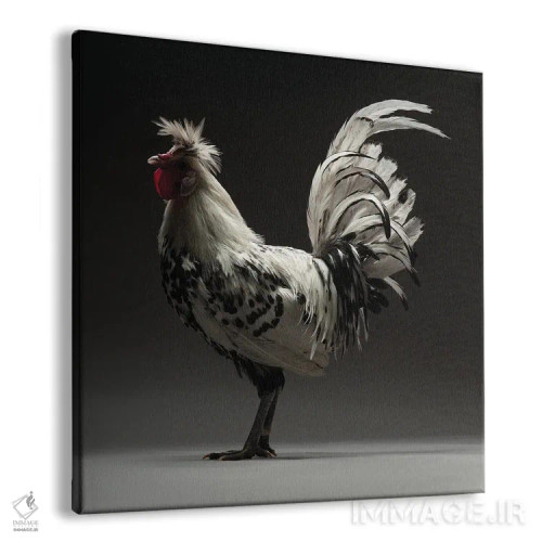 تابلو آپنزلر توفته (نژاد مرغ) اثر چیکن (اثر هنری با لحن شوخ) - نمای پرسپکتیو محصول