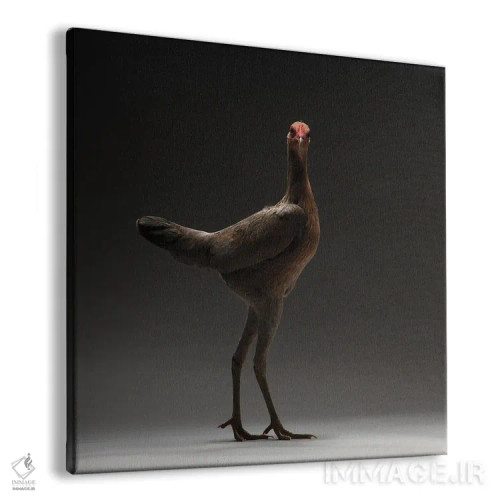 تابلو مرغ جنگجوی مدرن انگلیسی اثر چیکن (اثر هنری با لحن شوخ) - نمای پرسپکتیو محصول