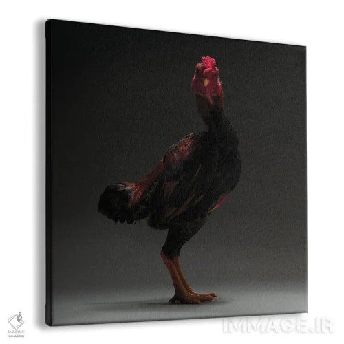 تابلو شامو ژاپنی (نژاد مرغ) اثر چیکن (اثر هنری با لحن شوخ) - نمای پرسپکتیو محصول