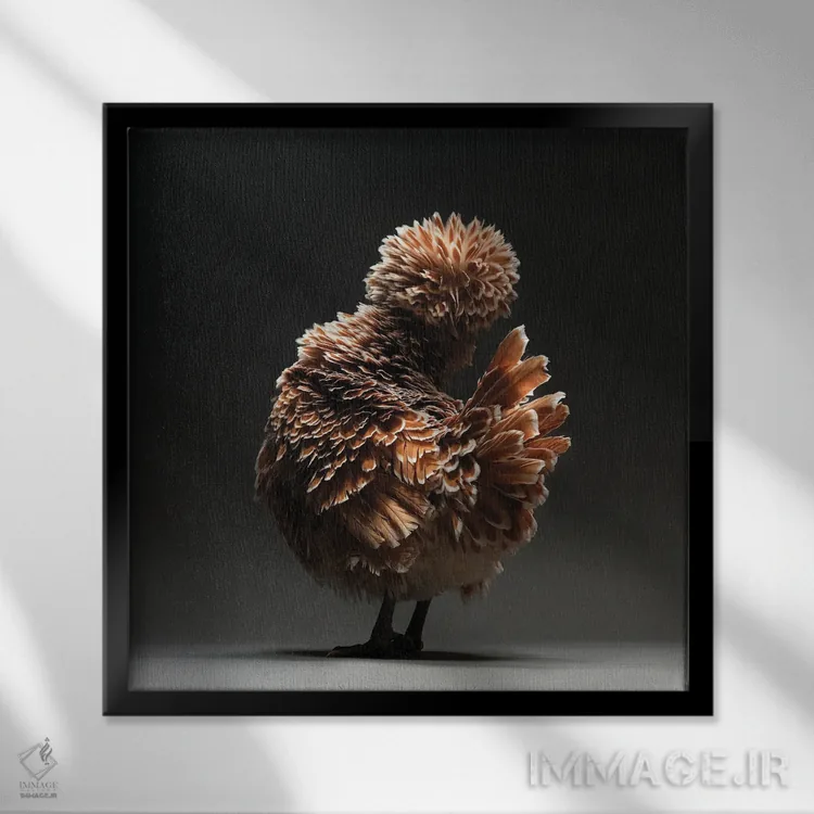 تابلو پادووانا (نژاد مرغ) اثر چیکن (اثر هنری با لحن شوخ) - نمای قابدار مشکی