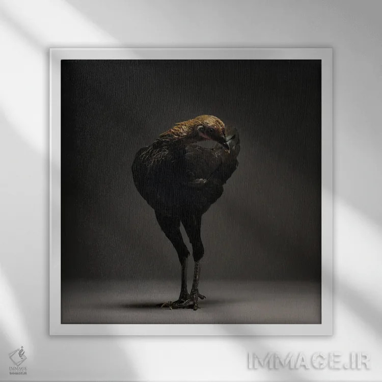 تابلو مرغ جنگجوی مدرن انگلیسی اثر چیکن (اثر هنری با لحن شوخ) - نمای قابدار سفید