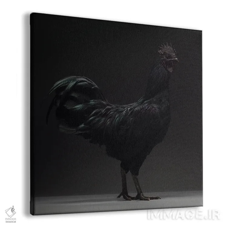 تابلو آیام چمانی (نژاد مرغ) اثر چیکن (اثر هنری با لحن شوخ) - نمای پرسپکتیو محصول