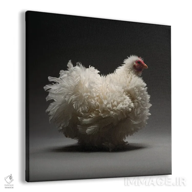 تابلو کوشین فریزل (نژاد مرغ) اثر چیکن (اثر هنری با لحن شوخ) - نمای پرسپکتیو محصول