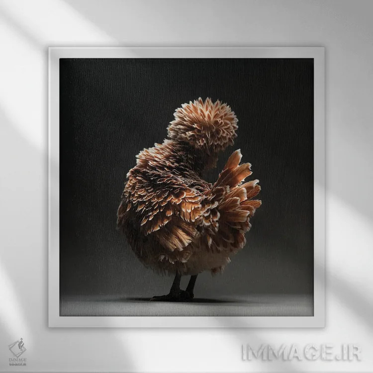 تابلو پادووانا (نژاد مرغ) اثر چیکن (اثر هنری با لحن شوخ) - نمای قابدار سفید