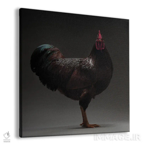 تابلو رود آیلند (نژاد مرغ) اثر چیکن (اثر هنری با لحن شوخ) - نمای پرسپکتیو محصول