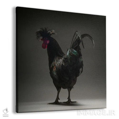 تابلو لانگکروور کوزوو (نژاد مرغ) اثر چیکن (اثر هنری با لحن شوخ) - نمای پرسپکتیو محصول