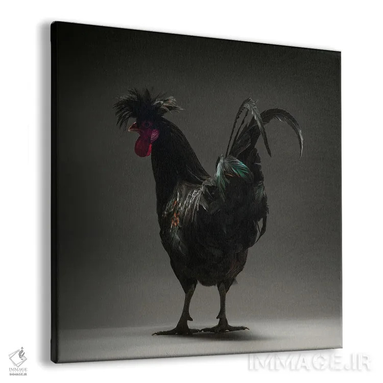 تابلو لانگکروور کوزوو (نژاد مرغ) اثر چیکن (اثر هنری با لحن شوخ) - نمای پرسپکتیو محصول