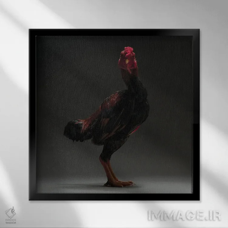 تابلو شامو ژاپنی (نژاد مرغ) اثر چیکن (اثر هنری با لحن شوخ) - نمای قابدار مشکی