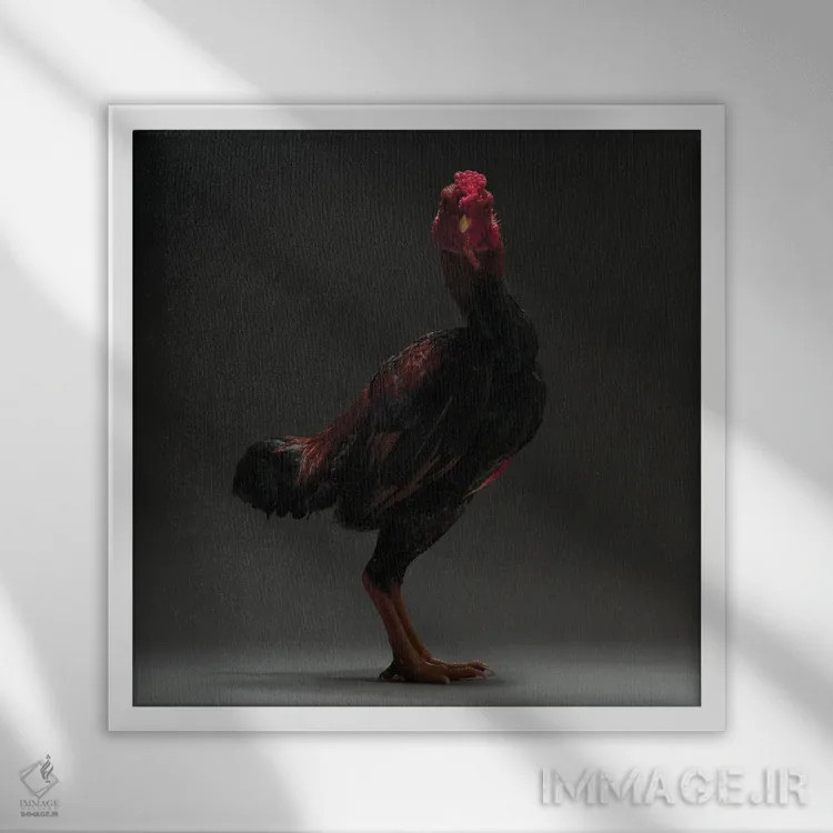 تابلو شامو ژاپنی (نژاد مرغ) اثر چیکن (اثر هنری با لحن شوخ) - نمای قابدار سفید