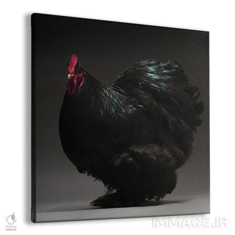 تابلو کوشین بانتام (نژاد مرغ) اثر چیکن (اثر هنری با لحن شوخ) - نمای پرسپکتیو محصول