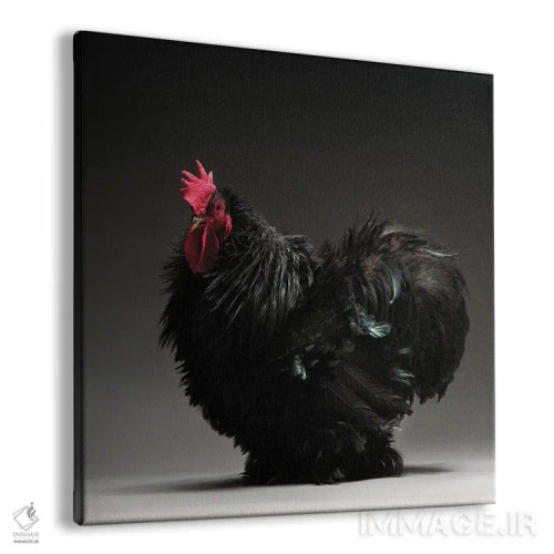 تابلو کوشین بانتام فریزل (نژاد مرغ) اثر چیکن (اثر هنری با لحن شوخ) - نمای پرسپکتیو محصول
