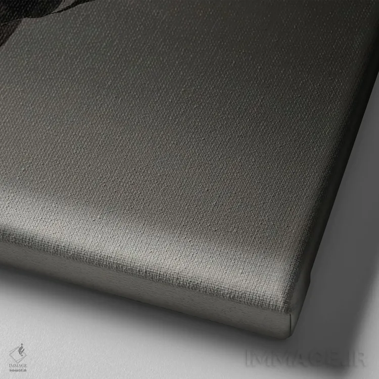 تابلو لانگکروور کوزوو (نژاد مرغ) اثر چیکن (اثر هنری با لحن شوخ) - نمای نزدیک بافت بوم